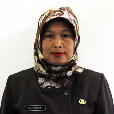 Fungsional Perencana